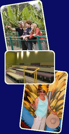 Big Banana - Accommodation Brisbane 2