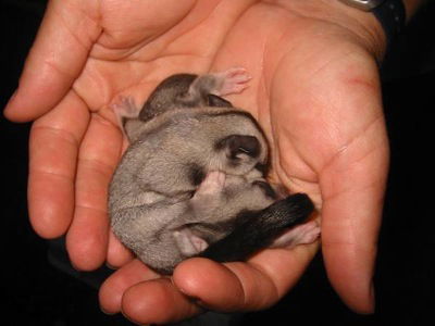  Accommodation Brisbane