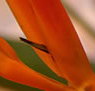Zen Day Spa - Accommodation Brisbane