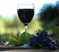  Accommodation Brisbane