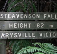 Stevensons Falls - Accommodation Brisbane