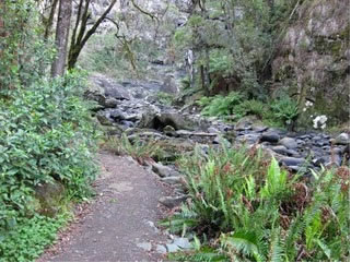 Stevensons Falls - Accommodation Brisbane 1