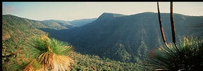 Lamington National Park And OReillys - Accommodation Brisbane 1