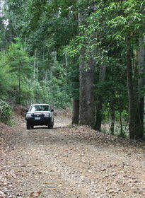 Lamington National Park And OReillys - Accommodation Brisbane 2