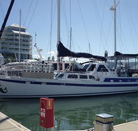 Coral Sea Dreaming Dive and Sail - Accommodation Brisbane