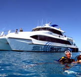 Silver Swift - Accommodation Brisbane