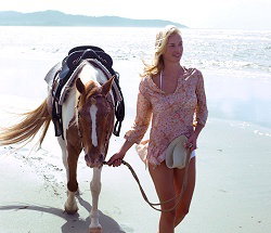 Ride The Beach - Accommodation Brisbane 3