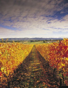 South Melbourne VIC Accommodation Brisbane