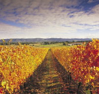 Link Tours - Accommodation Brisbane