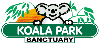 Koala Park Sanctuary - Accommodation Brisbane