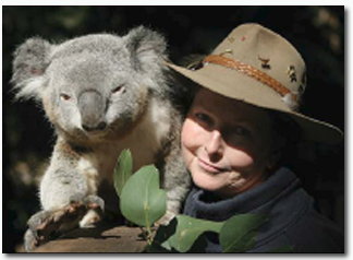 Koala Park Sanctuary - Accommodation Brisbane 2