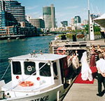 Bay  River Cruises - Accommodation Brisbane