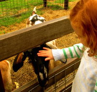 Collingwood Children's Farm - Accommodation Brisbane
