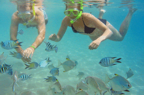 Australian Kayaking Adventures - Accommodation Brisbane 2