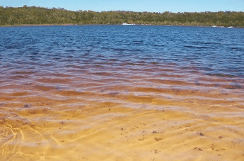 Beach Trekkers North Stradbroke Island - Accommodation Brisbane 1