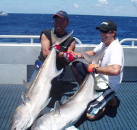 Blue Juice Charters - Accommodation Brisbane