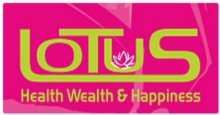 Lotus Massage - Accommodation Brisbane 0