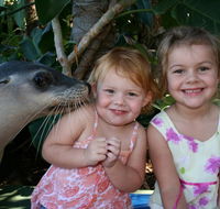 Dolphin Marine Magic - Accommodation Brisbane