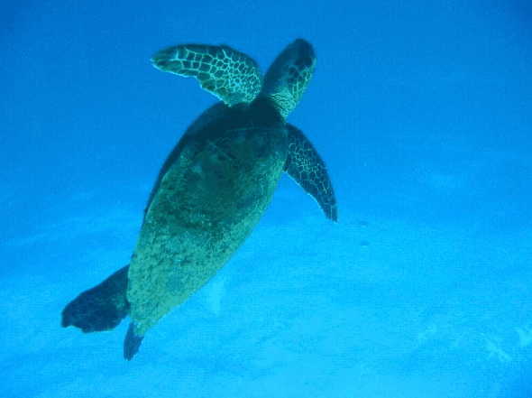 Redcliffe QLD Accommodation Brisbane