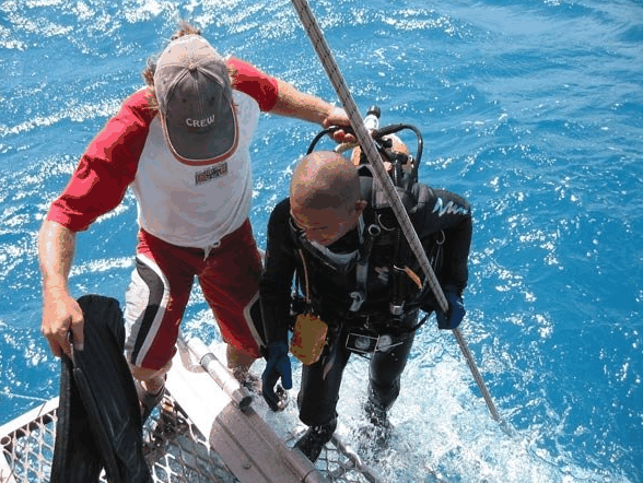 Big Cat Reality - Accommodation Brisbane 2