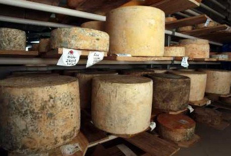 Witches Chase Cheese Co - Accommodation Brisbane 3