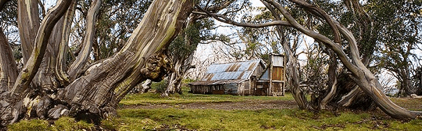 High Country Scenic Tours - Accommodation Brisbane