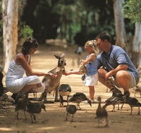 Billabong Sanctuary - Accommodation Brisbane