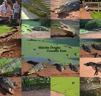 The Malcolm Douglas Crocodile Park - Accommodation Brisbane