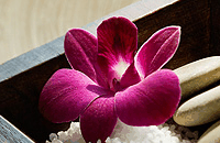 Blush Beauty Saloons - Accommodation Brisbane 4
