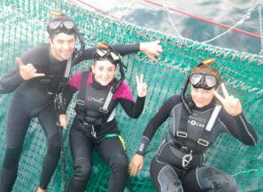 Dolphin Swim Australia - Accommodation Brisbane 7