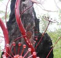 Understory Art In Nature - Accommodation Brisbane