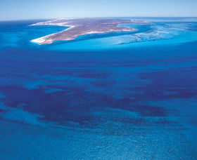 Dirk Hartog Island - Accommodation Brisbane 0