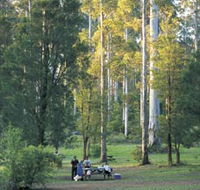 Big Brook Arboretum - Accommodation Brisbane