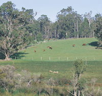 Scenic Drives - Bunbury Collie Donnybrook - Accommodation Brisbane