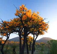 Cape Le Grand National Park - Accommodation Brisbane