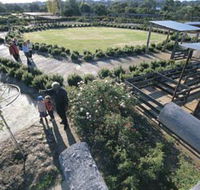 Kojonup Rose Maze - Accommodation Brisbane