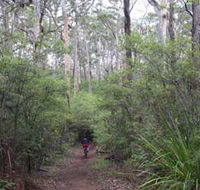 Margaret River Rails Trail - Accommodation Brisbane