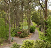 Mount Lofty Botanic Garden - Accommodation Brisbane