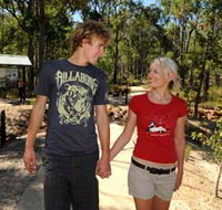 Crooked Brook Forest - Accommodation Brisbane