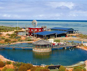 Shark Bay WA Accommodation Brisbane