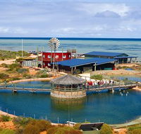 Ocean Park Aquarium - Accommodation Brisbane