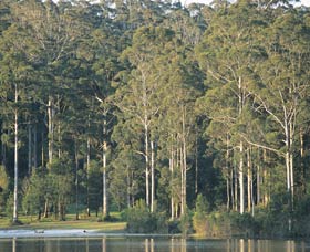 Big Brook Dam - Accommodation Brisbane 0