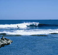 West End - Accommodation Brisbane