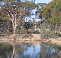 Merredin Railway Dam - Accommodation Brisbane