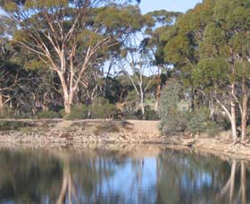 Merredin Railway Dam - Accommodation Brisbane 0