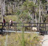 Forest Path Crooked Brook - Accommodation Brisbane