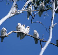 Carawine Gorge - Accommodation Brisbane
