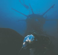 Swan Dive Wreck - Accommodation Brisbane