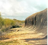 Totadgin Dam Reserve - Accommodation Brisbane