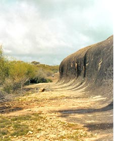 Totadgin Dam Reserve - Accommodation Brisbane 0